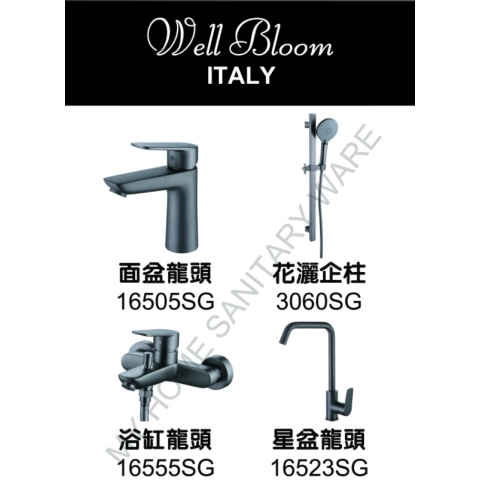 Well Bloom Italy 4SET165SG 165系列太空灰色4件龍頭優惠套裝